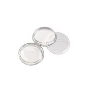 100 x 15 mm Petri dish